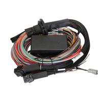 Haltech Elite 2500 & 2500 T Premium Universal Wire-in Harness  Length: 3m (9.8')