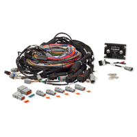 Haltech Elite 2500 & Race Expans Module (REM) Integrated Harn Only