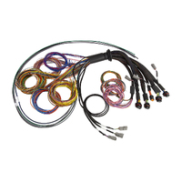 Haltech Nexus R5 Universal Wire-In harness - 2.5M (8')