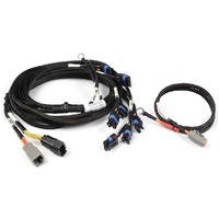 Haltech Nexus V8 IGN-1A GM/Chrysler Harness
