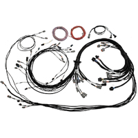 Haltech Universal V8 Terminated Engine Harness for Nexus R5 VCU