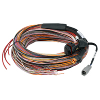 Haltech PD16 Wire-in harness - 5M / 16FT