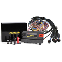 Haltech Nexus R5 + Universal Wire-in Harness Kit - 2.5M (8')