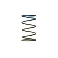 TURBOSMART Gen 4/IWG TURBOSMART WG38/40/45/50L 10PSI OUTER SPRING - BROWN/BLUE