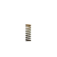 TURBOSMART Gen 4 TURBOSMART WG38/40/45/50L HP 10 PSI Inner Spring Brown/Orange