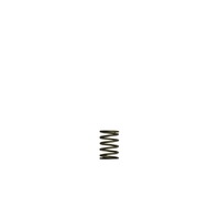 TURBOSMART Gen-V WG38/40 3psi Black Inner Spring