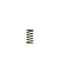 TURBOSMART Gen-V WG60 3psi Inner Spring