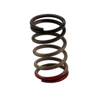 TURBOSMART GenV WG HP 40psi Spring (Black/Red)